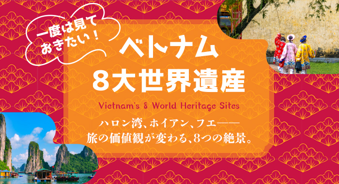 �٥ȥʥ�8�������仺